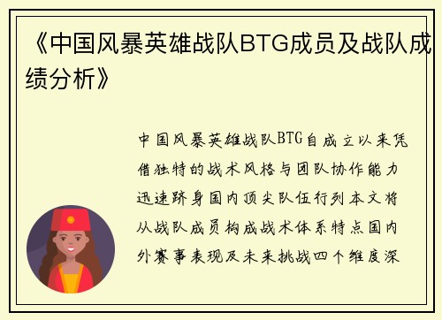 《中国风暴英雄战队BTG成员及战队成绩分析》