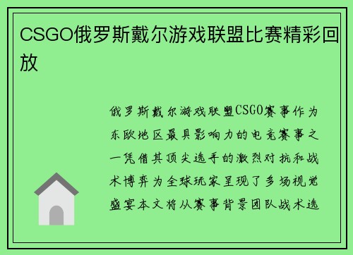 CSGO俄罗斯戴尔游戏联盟比赛精彩回放